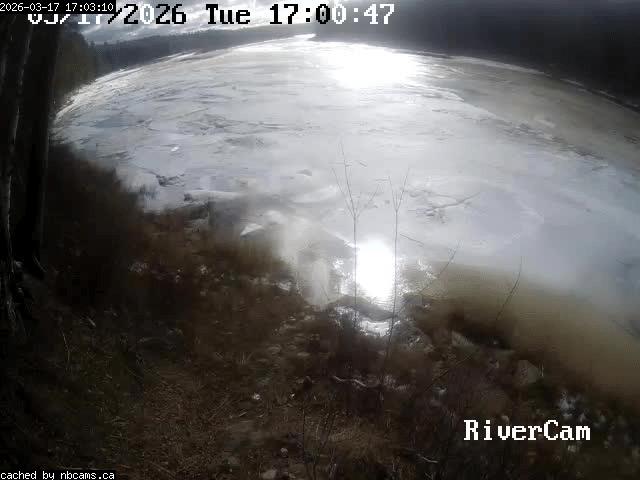 Web Cam image of Boiestown (Miramichi River)