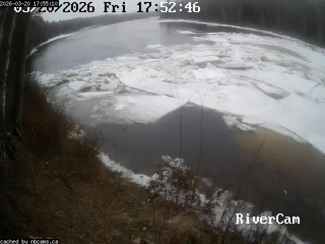 Web Cam image of Boiestown (Miramichi River)