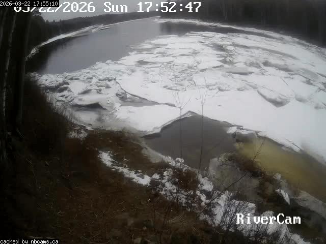 Web Cam image of Boiestown (Miramichi River)