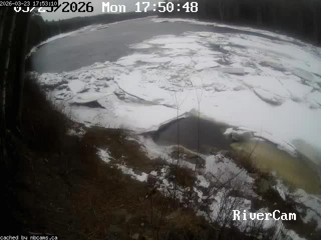 Web Cam image of Boiestown (Miramichi River)