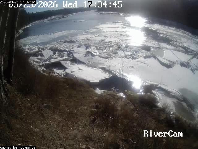Web Cam image of Boiestown (Miramichi River)