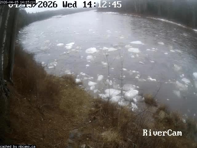 Web Cam image of Boiestown (Miramichi River)