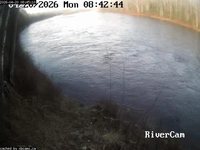 Web Cam image of Boiestown (Miramichi River)