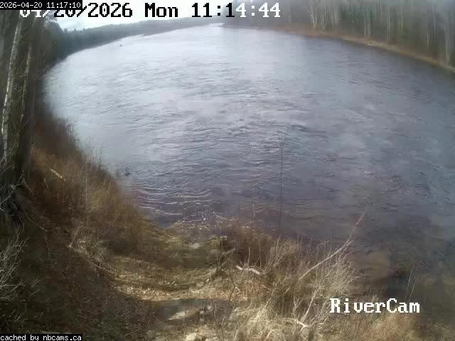 Web Cam image of Boiestown (Miramichi River)