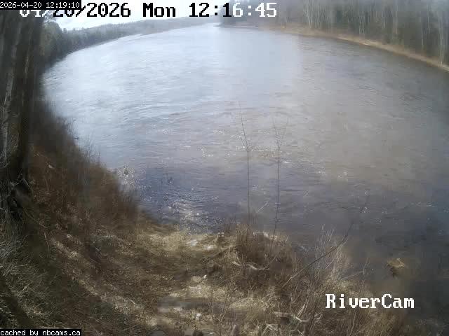 Web Cam image of Boiestown (Miramichi River)