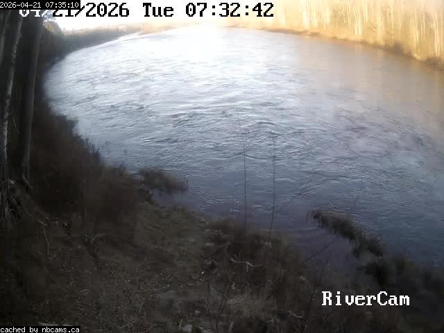 Web Cam image of Boiestown (Miramichi River)