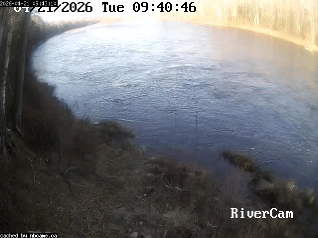 Web Cam image of Boiestown (Miramichi River)