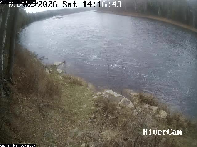 Web Cam image of Boiestown (Miramichi River)