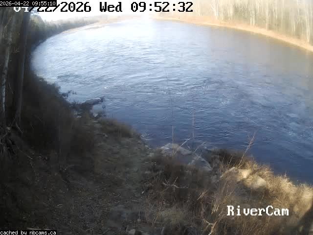 Web Cam image of Boiestown (Miramichi River)