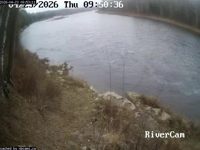 Web Cam image of Boiestown (Miramichi River)