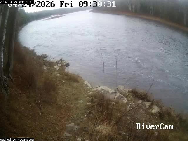 Web Cam image of Boiestown (Miramichi River)