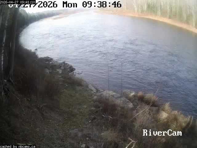 Web Cam image of Boiestown (Miramichi River)