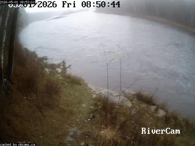 Web Cam image of Boiestown (Miramichi River)