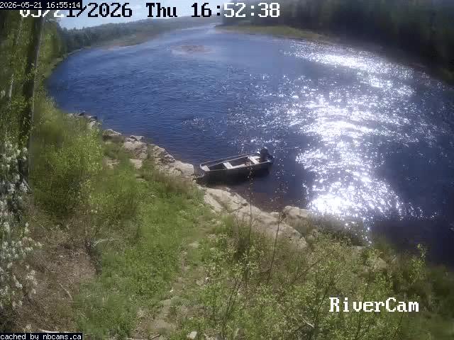 Web Cam image of Boiestown (Miramichi River)
