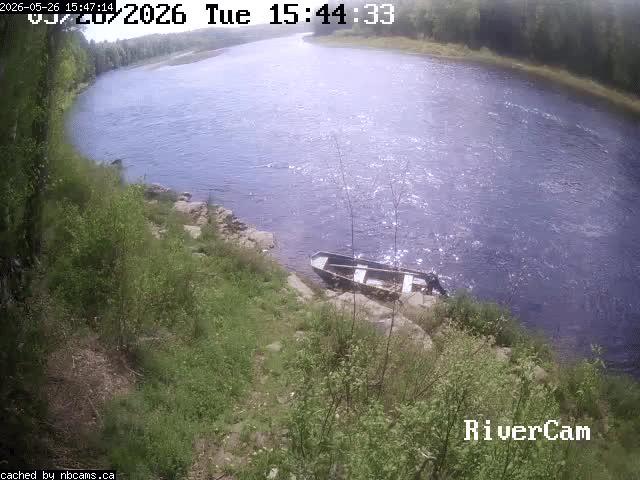 Web Cam image of Boiestown (Miramichi River)