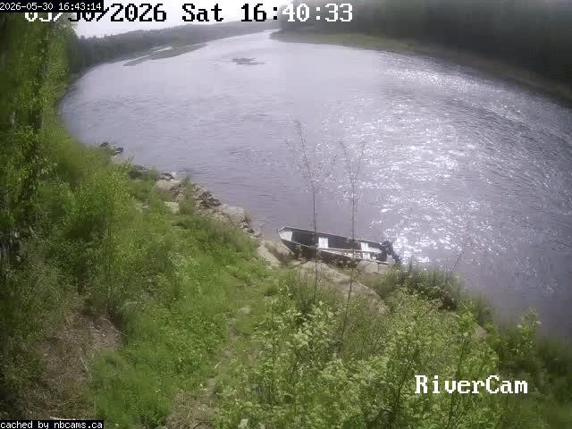 Web Cam image of Boiestown (Miramichi River)