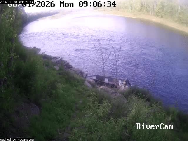 Web Cam image of Boiestown (Miramichi River)