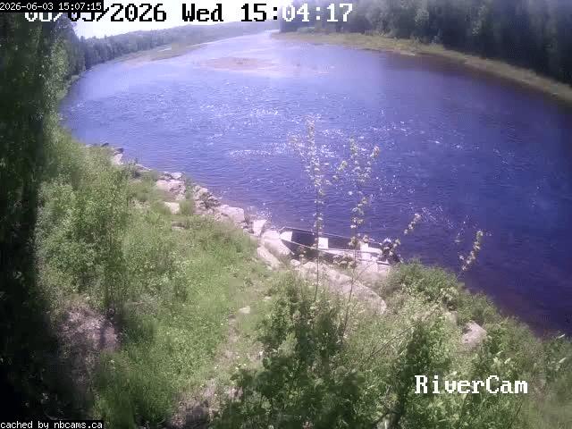 Web Cam image of Boiestown (Miramichi River)