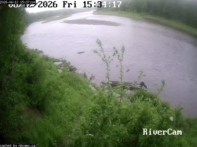 Web Cam image of Boiestown (Miramichi River)