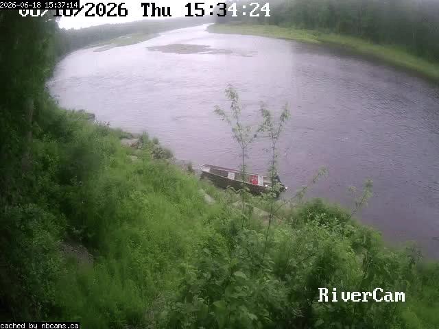 Web Cam image of Boiestown (Miramichi River)