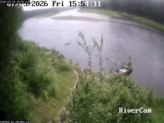 Web Cam image of Boiestown (Miramichi River)