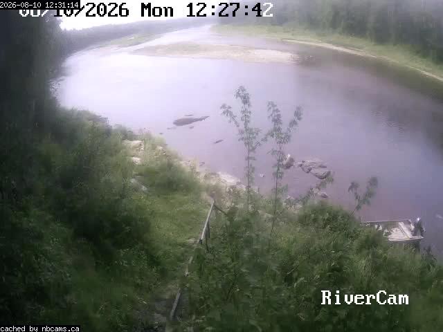 Web Cam image of Boiestown (Miramichi River)
