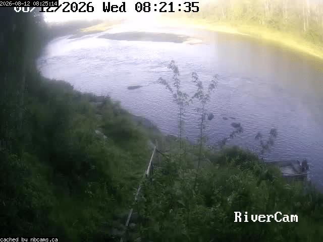 Web Cam image of Boiestown (Miramichi River)