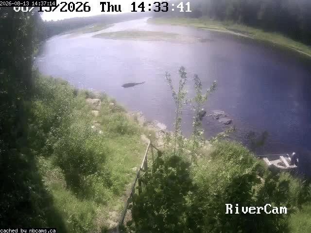 Web Cam image of Boiestown (Miramichi River)