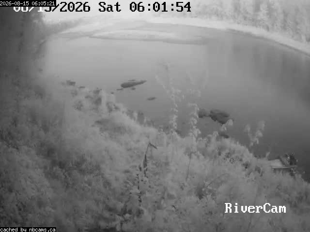 Web Cam image of Boiestown (Miramichi River)