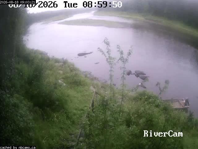 Web Cam image of Boiestown (Miramichi River)