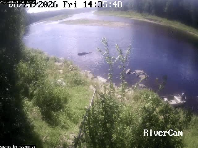 Web Cam image of Boiestown (Miramichi River)