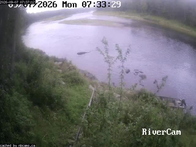 Web Cam image of Boiestown (Miramichi River)