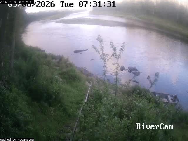 Web Cam image of Boiestown (Miramichi River)