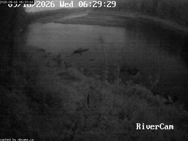 Web Cam image of Boiestown (Miramichi River)