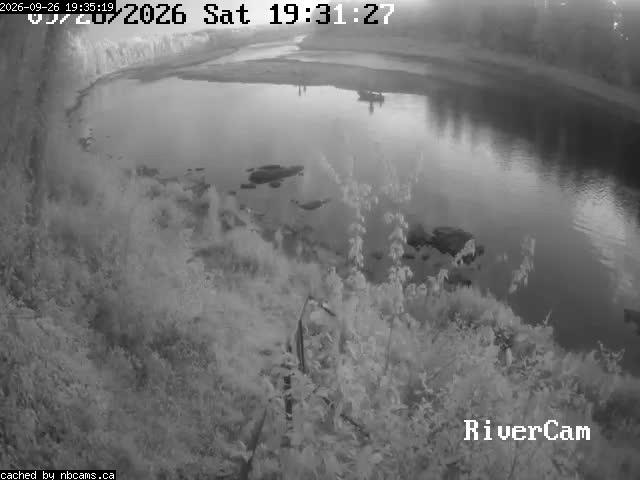 Web Cam image of Boiestown (Miramichi River)