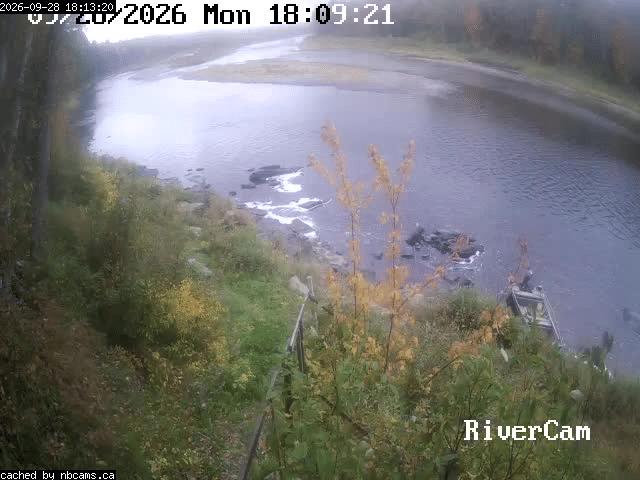 Web Cam image of Boiestown (Miramichi River)
