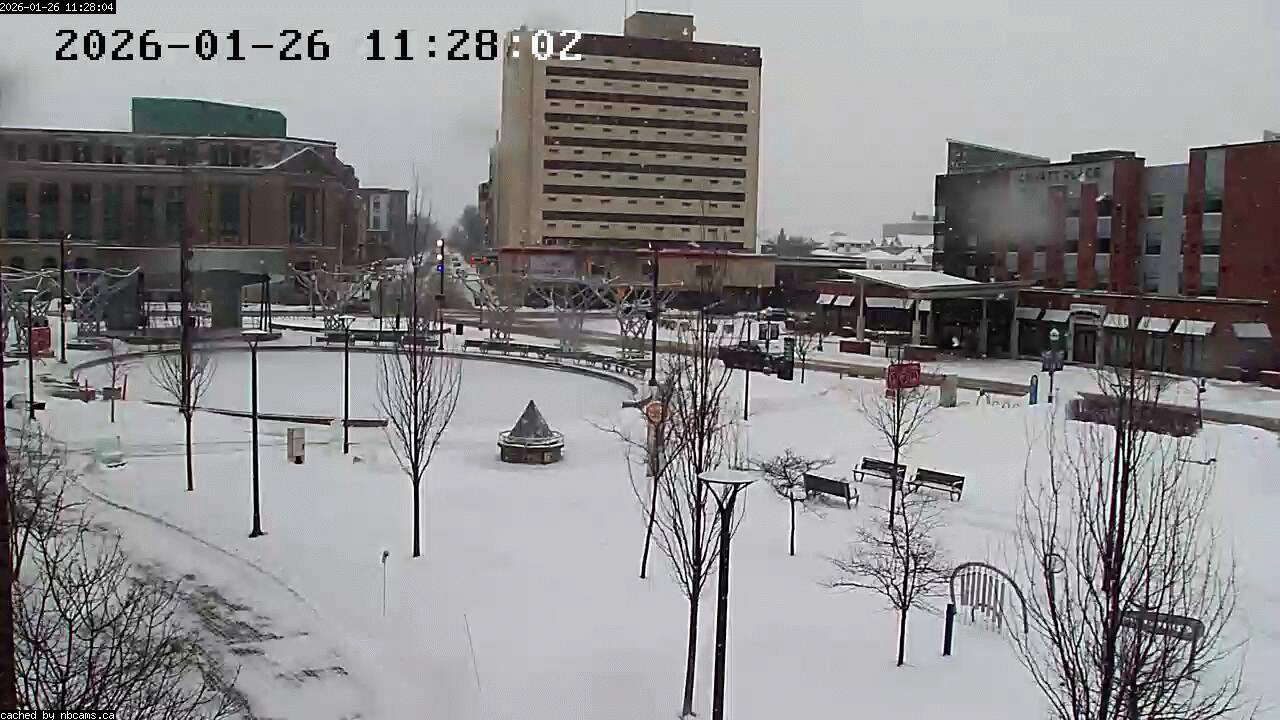 Web Cam image of Moncton (Avenir Centre)
