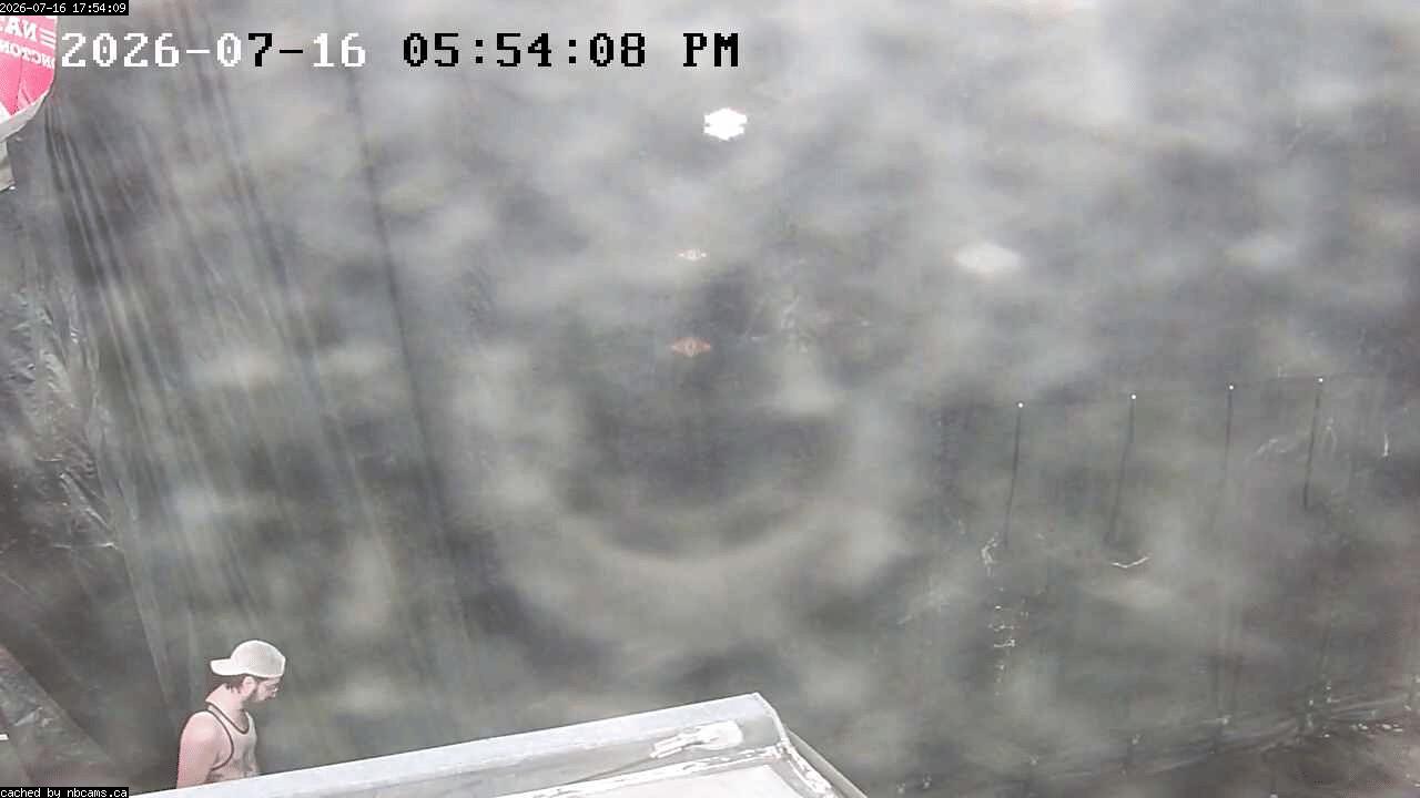 Web Cam image of Moncton (Main Street West)