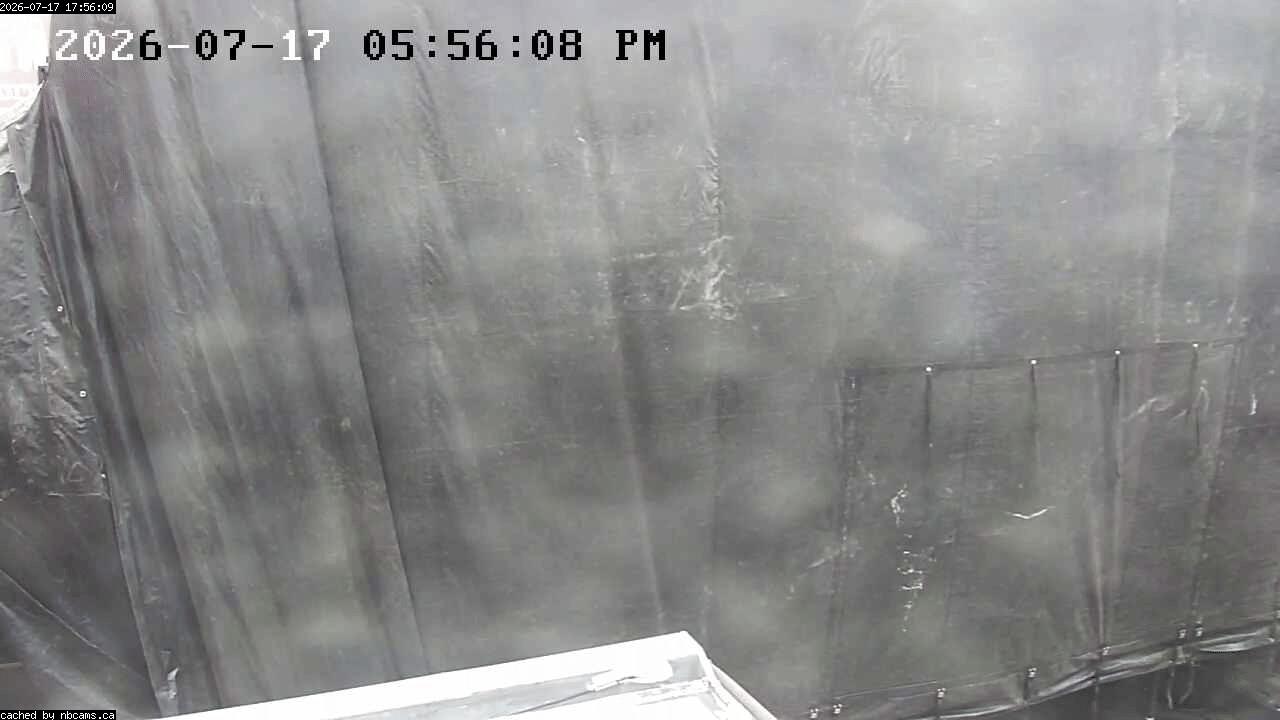 Web Cam image of Moncton (Main Street West)