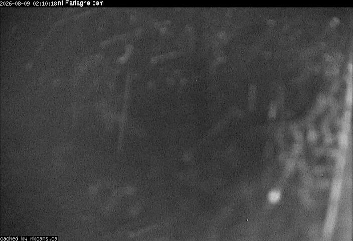 Web Cam image of Edmundston (Mont Farlagne)