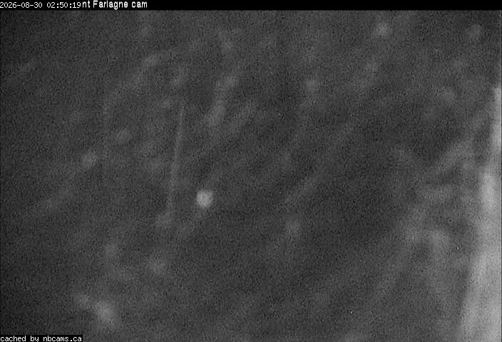 Web Cam image of Edmundston (Mont Farlagne)