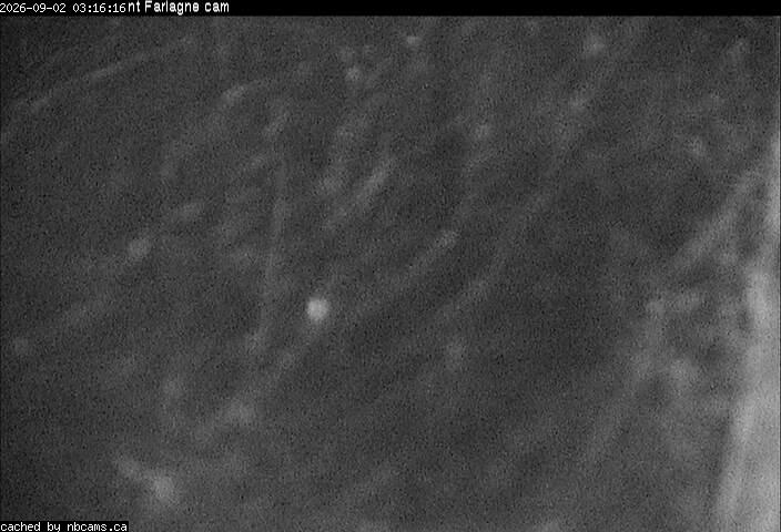 Web Cam image of Edmundston (Mont Farlagne)