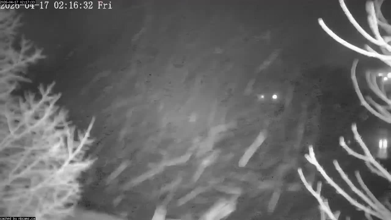 Web Cam image of Perth-Andover