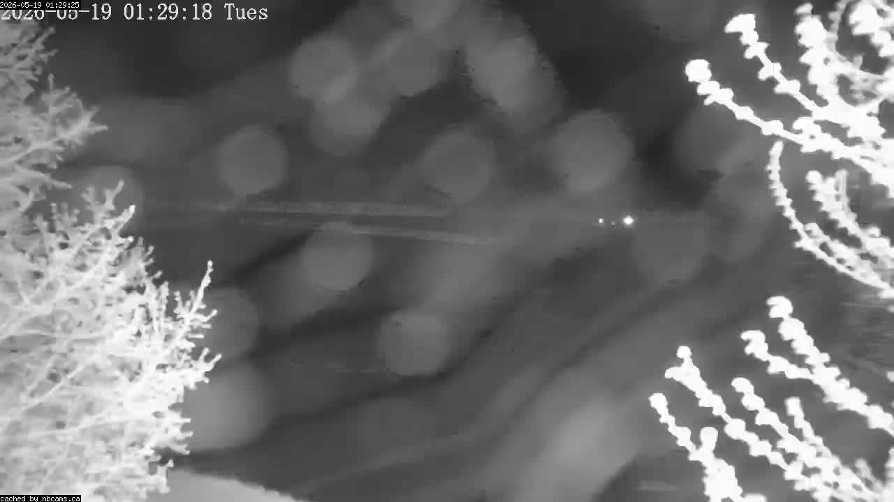Web Cam image of Perth-Andover