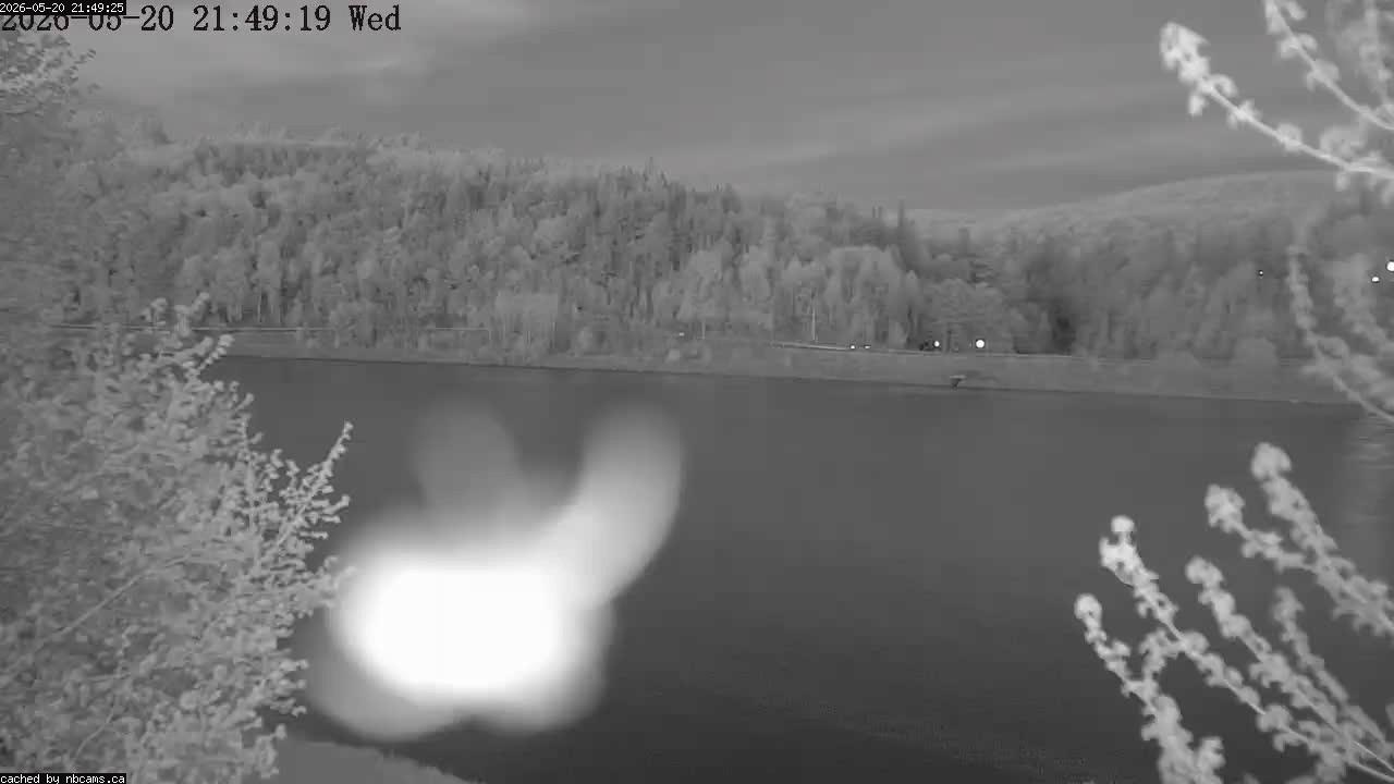 Web Cam image of Perth-Andover