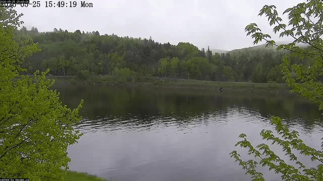 Web Cam image of Perth-Andover