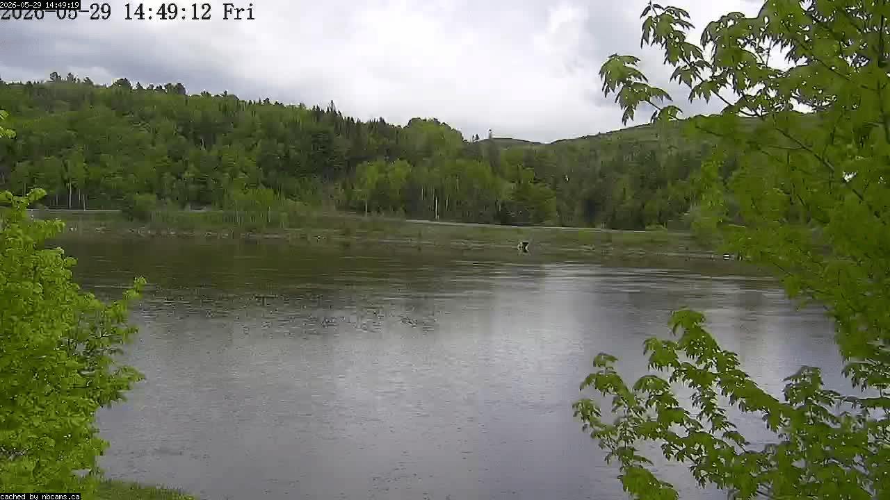 Web Cam image of Perth-Andover