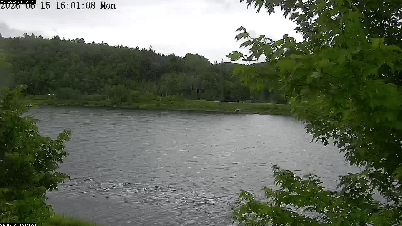 Web Cam image of Perth-Andover