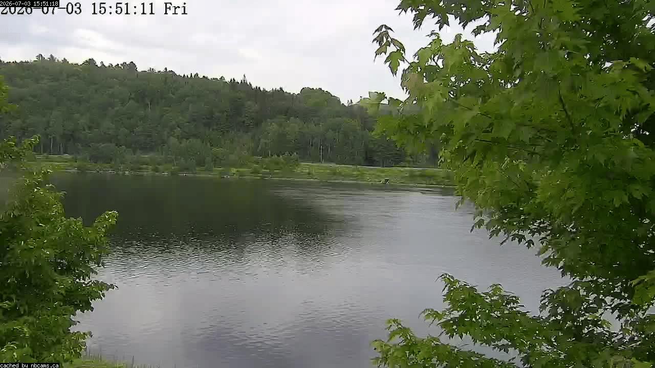 Web Cam image of Perth-Andover