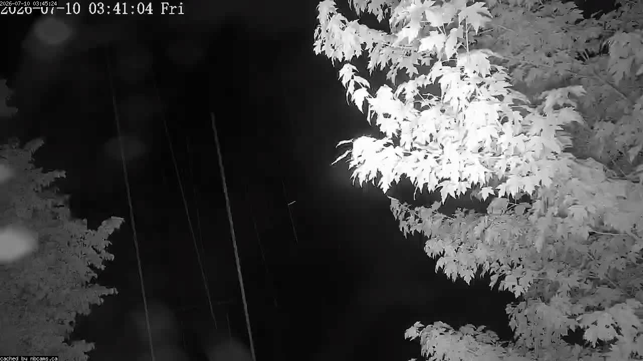 Web Cam image of Perth-Andover